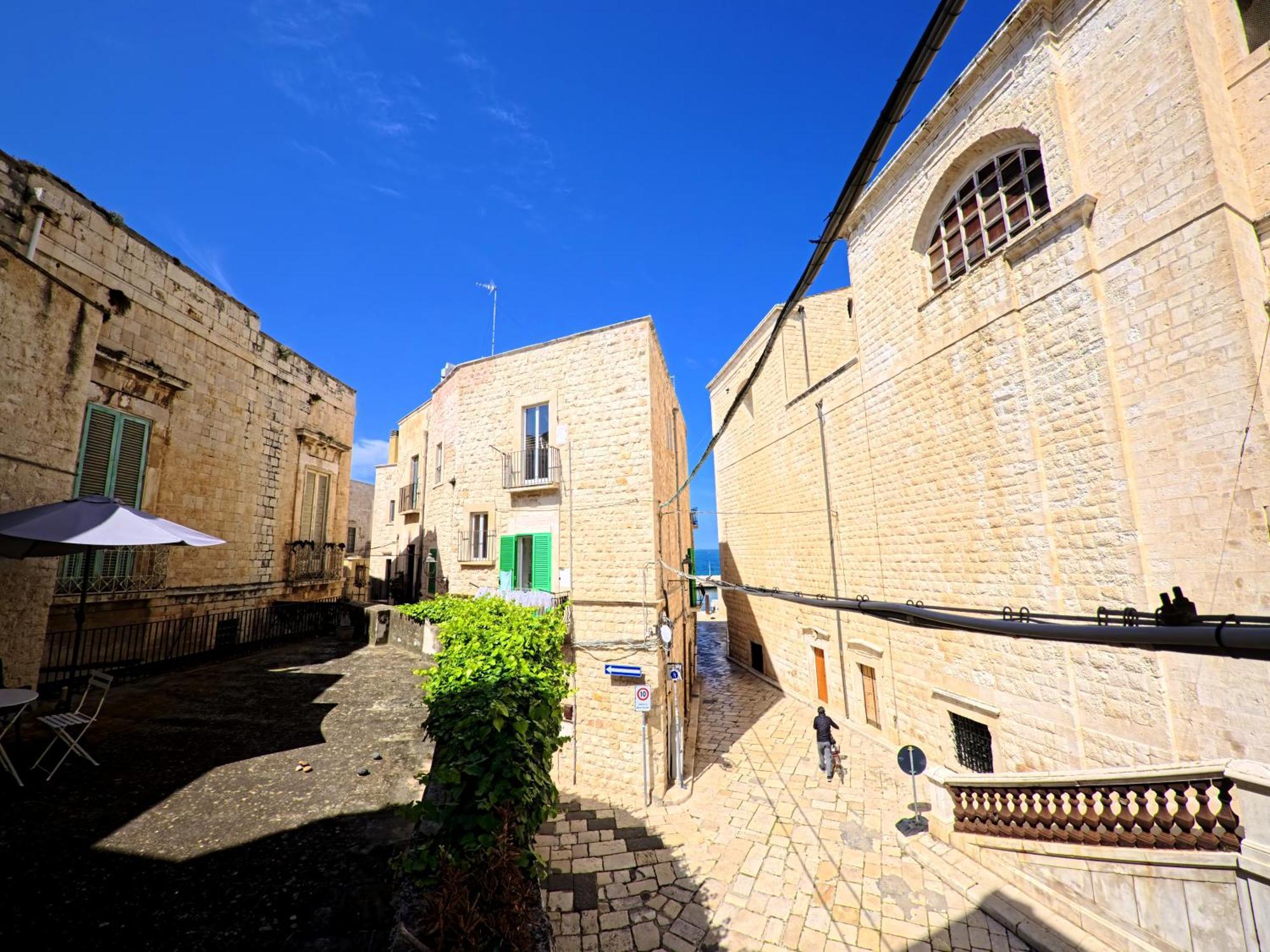 Palazzo Framarino Dei Malatesta - Noble Floor - XIV Century 焦维纳佐 外观 照片